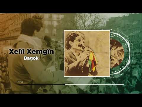Xelîl Xemgîn - Bagok (Official Audio)