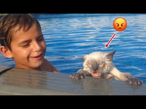 Pets That Will Make You Laugh In 10 Seconds