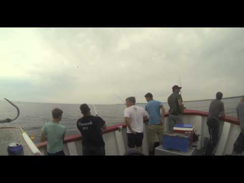 Dorschangeln auf der MS Silverland (Live Bisse)