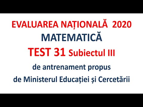 Evaluarea Nationala 2020 Test 31 Subiectul III propus de MEC