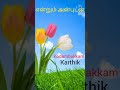 Varusam 16 Bgm