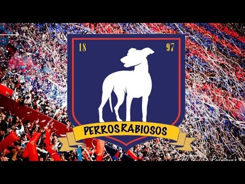 PerrosRabiosos vs ASTON BIRRA FC fecha 8 licp arg