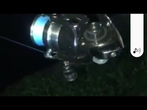 i lost the world record carp