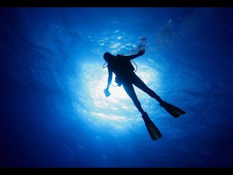 Planet Wissen - Tauchen