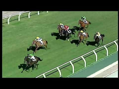 Napoli Galoppo 22/02/2022 - 2ª corsa