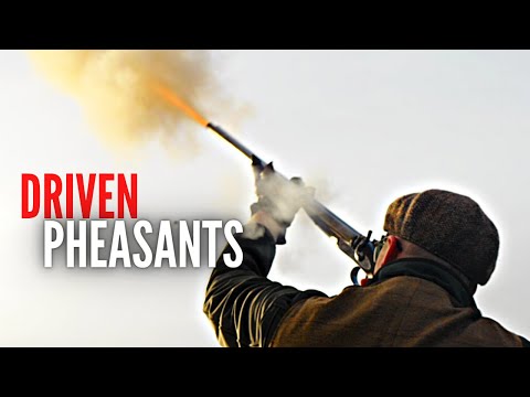 The Muzzle Loader Pheasant Hunt