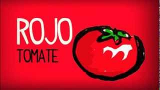 Learn the colors in Spanish, basic vocabulary, Spanish language