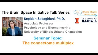 he connectome multiplex