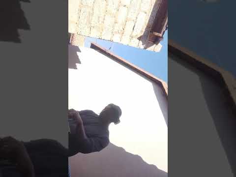 deephouse #housemusic (DJ-Zest)