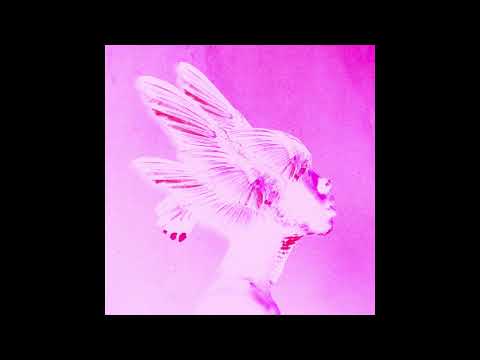 [FREE] Synth Punk x Hyper Pop x Glitchcore Type Beat - PINK VIBEZ (Avid Beats x Rich James)