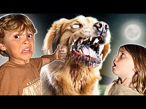 You WON'T believe how we FOUND our dog! *SCARY*