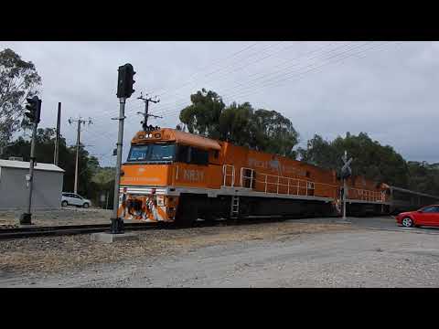 NR31 & NR30 lead Great Southern 6AT8 through Bridgewater - 24/01/2020