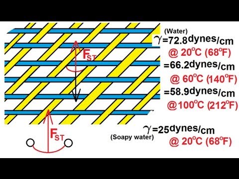 Physics 33 1 Surface Tension 1 of 12 What is Surface Tension