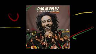 Is This Love – Bob Marley and The Chineke! Orchestra (Visualizer)