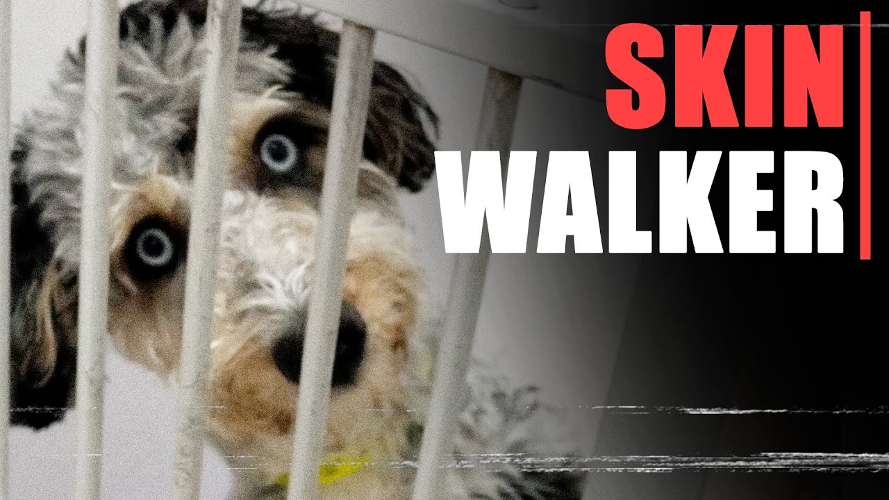 SKIN WALKERS SÃO BIZARROS [Vol.2]