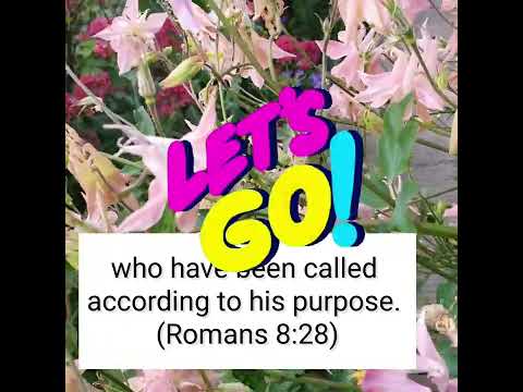 Let us encourage one another (longer version)