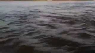 preview picture of video '▶ White Bass Fishing on the Mississippi!'