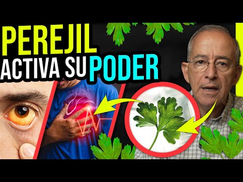 🌱 SORPRENDENTES BENEFICIOS DEL PEREJIL Un Impulso Nutricional - Oswaldo Restrepo RSC