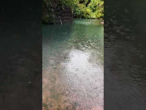 Valle Eden, inundado.