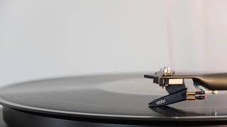 Nazarbattu | Lyrics | Sachet Tandon | Yamla Pagla Deewana Phir Se |