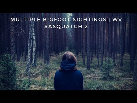 Multiple Bigfoot Sightings West Virginia 🙉 WV Sasquatch 2