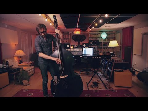 Universal Microphone sE Electronics T2