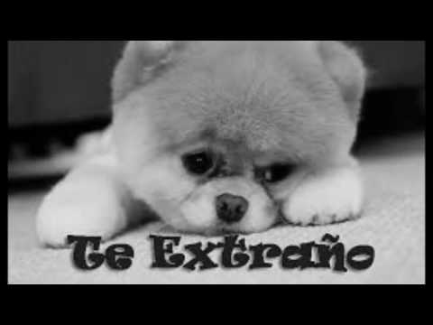 Te Extraño video