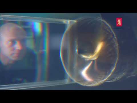 Hydrodynamic capabilities