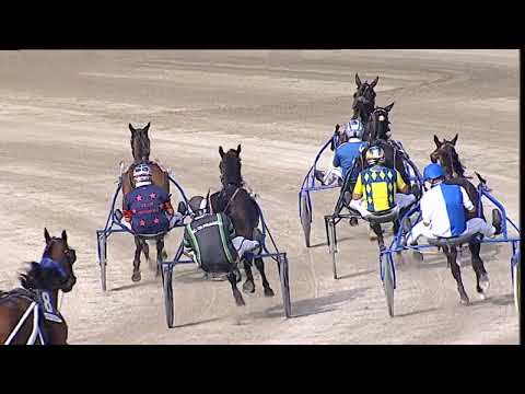 Napoli Trotto 19/09/2023 - 4ª corsa