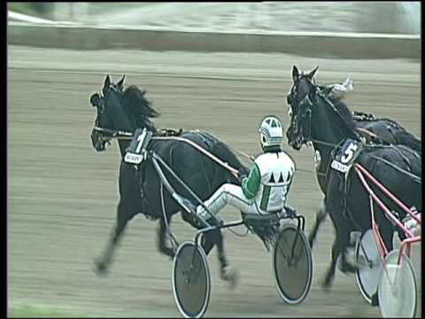 Trotto 24/02/2017 - 5ª corsa