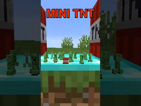 Mini TNT vs 10,000 TNT Minecraft Showdown