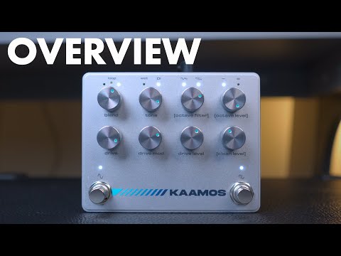 Darkglass Electronics Kaamos 2025 - Present - Silver image 9