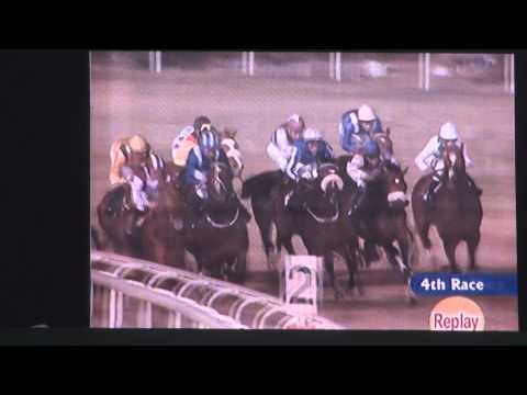 GALOPPPELAREN - Tertio Bloom i Abu Dhabi 2011-12-18.wmv