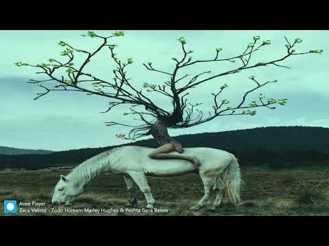 Zeca Veloso - Todo Homem (Marley Hughes & Peshta Gora Remix)