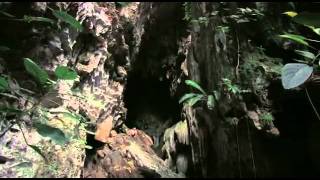preview picture of video 'Be One with Belize, Part 4 - The Ancient Maya'