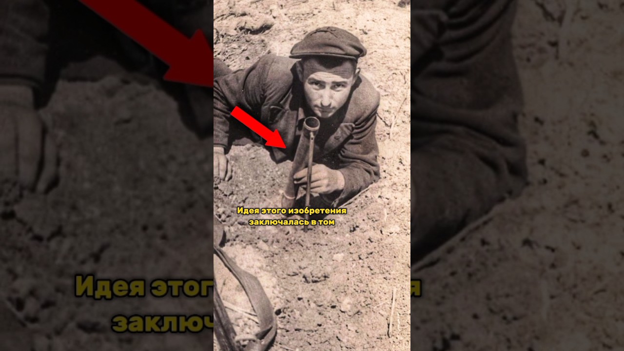 ��������� ����� �� ����� - ��� ������ ����