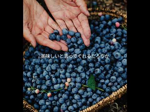 園芸 一般的なブルーベリー、ワイルドブルーベリー