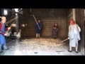Threshing with hand flails – two pairs