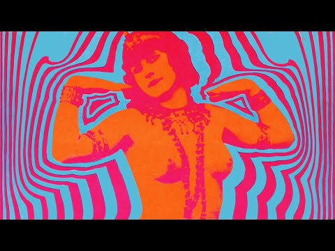 Video $The Psychedelic Experience