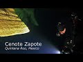 Diving Cenote Zapote "Hells Bells" - Mexiko, Diving Cenote Zapote - Quintana Roo, Riviera Maya, Playa del Carmen, Puerto Morelos, Mexiko am 3., 12. 23. und 24. März 2022 mit Diving Capital https://www.divingcapital.com/., Cenote Dos Ojos (Bat-Cave), Mexiko