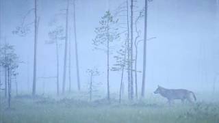 Luomo feat. Apparat - Love You All (club mix)