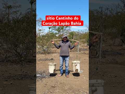 Sítio Cantinho do Coração região irece município de Lapão Bahia￼