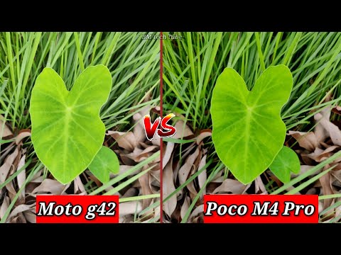 Moto g42 5g VS Poco M4 Pro 5g Camera Comparison | Moto g42 Camera Review | Moto g42 Video Review |