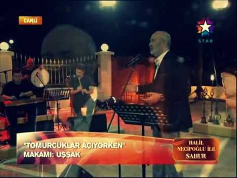 Halil Necipoğlu - Seni andım dün gece