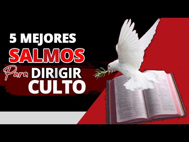 Vídeo relacionado con Spakon 60 cuadernos de cuero para oración religiosa con versículos bíblicos para compañeros de trabajo, mujeres, hombres, miembros de la iglesia, graduación (estética inglesa)