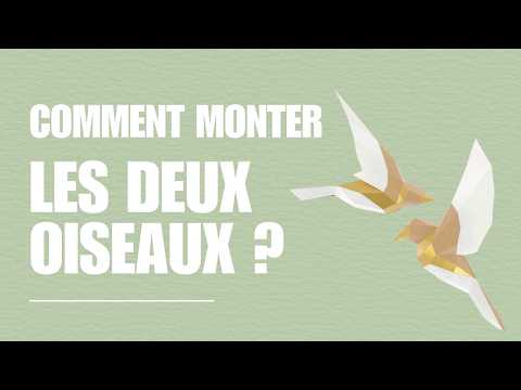 Deux oiseaux - vidéo de présentation