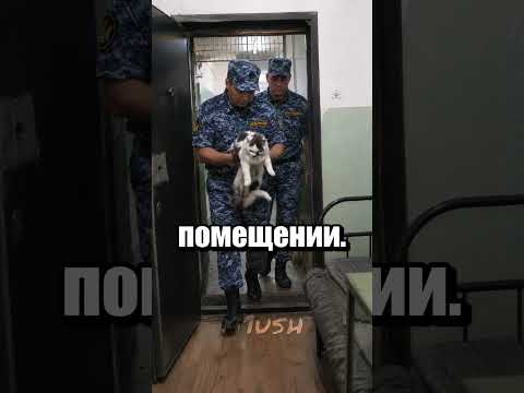 Самый незаметный курьер