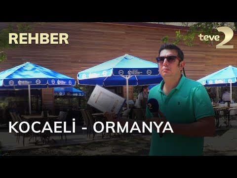 Rehber 75. Bölüm Kocaeli - Ormanya 08.09.2019 FULL BÖLÜM İZLE!