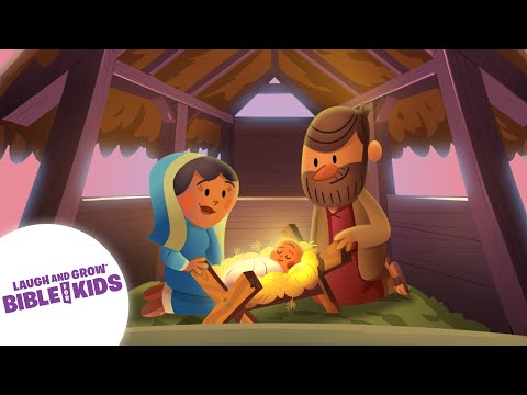 Witness21 Editor  2022 11 29