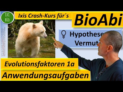 Anwendungsaufgaben Evolutionsfaktoren 1a, Allelfrequenz, Gendrift, Gründereffekt, Mendelsche Regeln